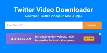 How to Download Videos Off Twitter