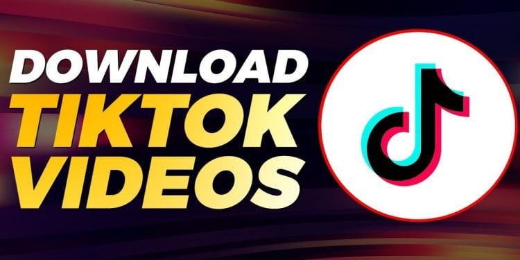 How to Download Videos on TikTok