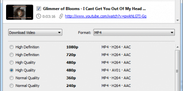 How to Download a YouTube Playlist