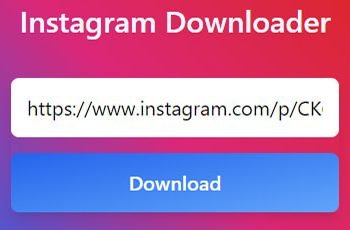 How to Download an Instagram Video