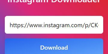 How to Download an Instagram Video