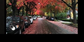 How to Edit Photos for Instagram