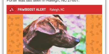 How to Find a Lost Pet on Facebook