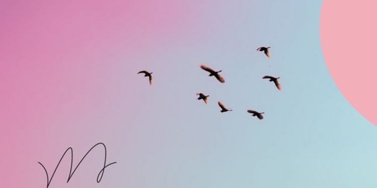 How to Grow on Twitter in 2022