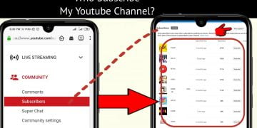 How to Know Who Subscribed My YouTube Channel