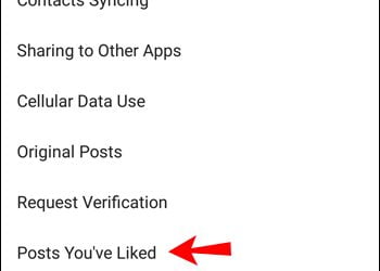 How to Look at Liked Posts on Instagram