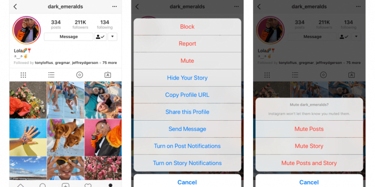How to Mute Stories on Instagram