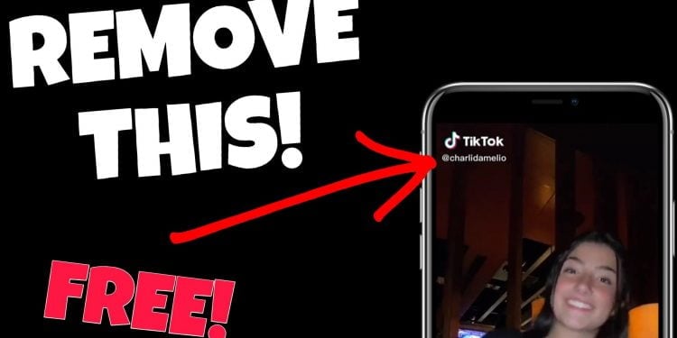 How to Remove TikTok Watermark Online