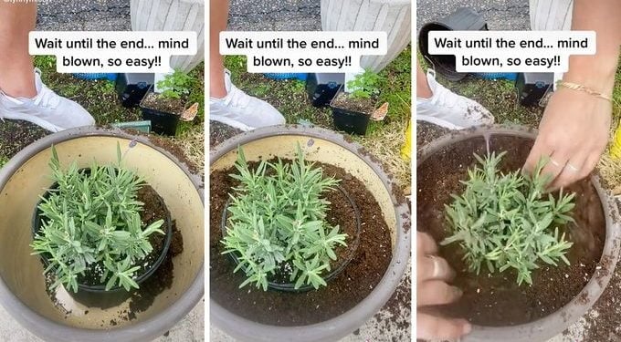 How to Repot a Video on TikTok