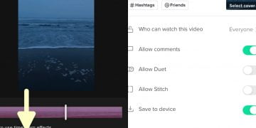 How to Reverse TikTok Videos