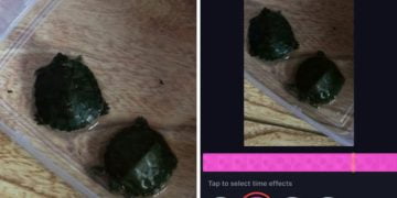 How to Reverse the TikTok Filter