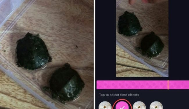 How to Reverse the TikTok Filter