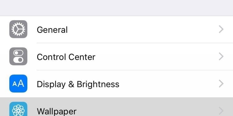 How to Save TikTok As a Live Photo on Your iOS Device