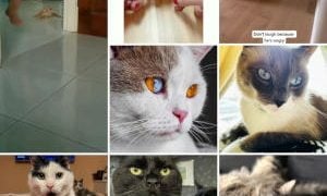 How to Search Reels on Instagram Using Hashtags