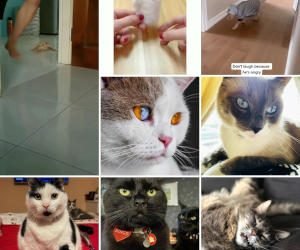 How to Search Reels on Instagram Using Hashtags