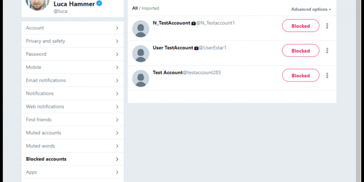 How to See Blocked Accounts on Twitter