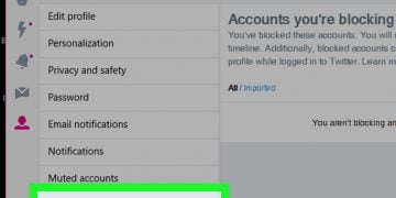 How to See Blocked Accounts on Twitter