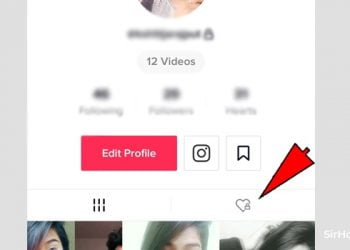 How to See Deleted TikTok Videos