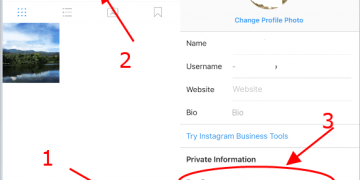 How to See Instagram Password Without Changing It