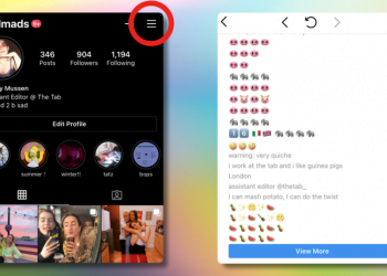 How to See Old Instagram Bios