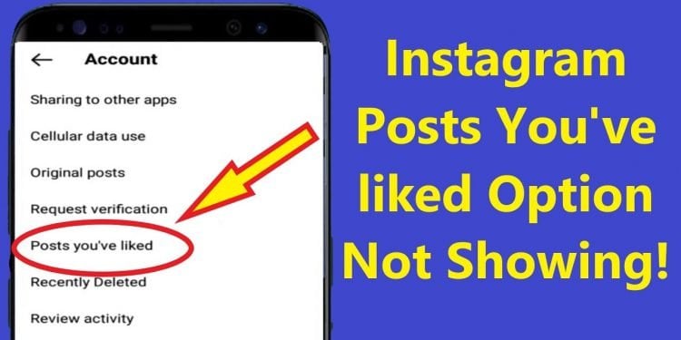 How to See Posts You’ve Liked on Instagram