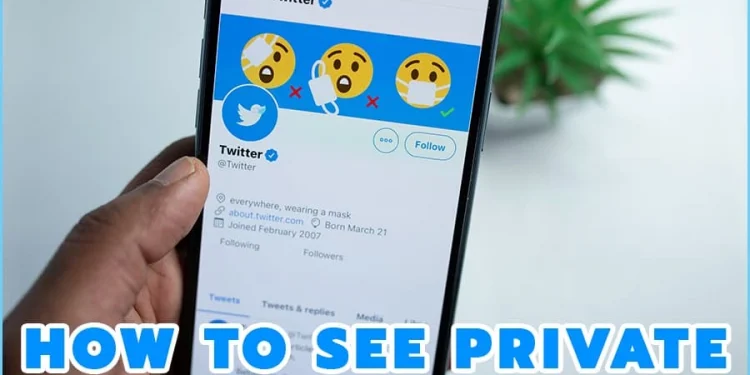How to See Private Twitter Accounts in 2022