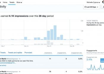 How to See Twitter Analytics
