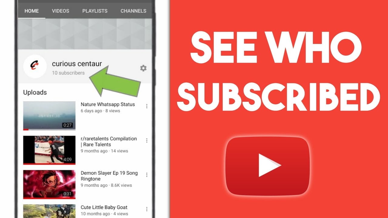 How to See Who Subscribed to You on YouTube Zeru