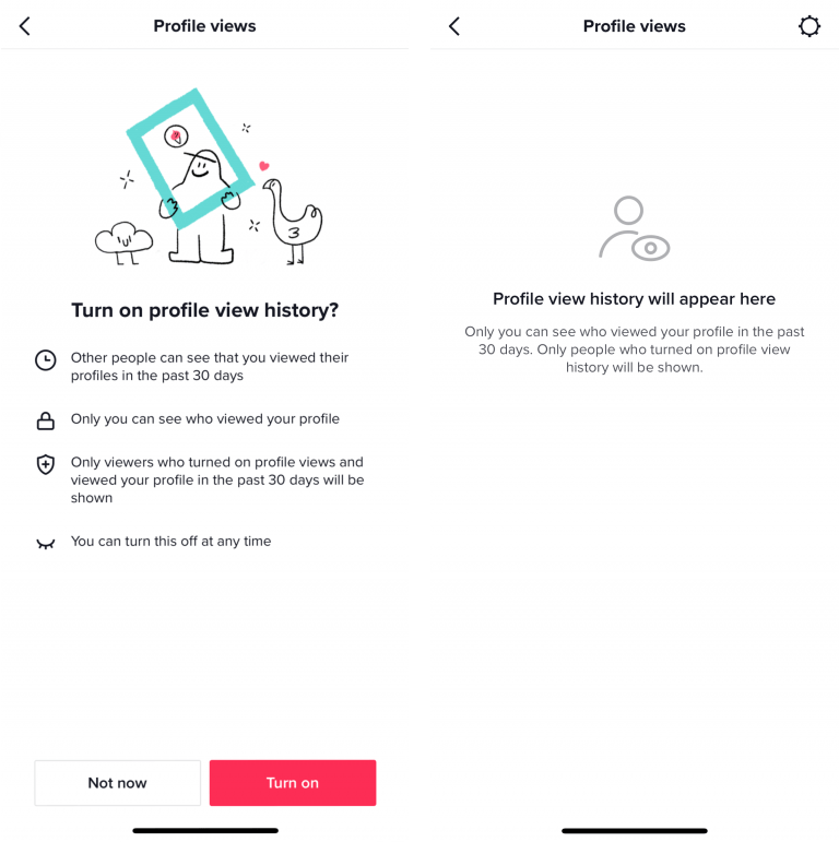 What Does BMS Mean On TikTok Zeru