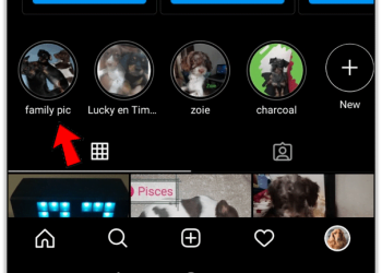 How to See Who Views Your Instagram Page Without Following People