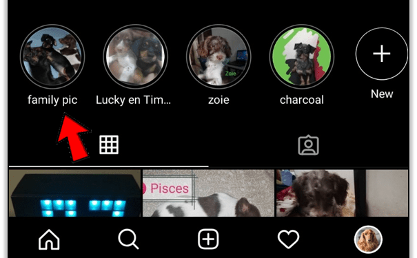 How to See Who Views Your Instagram Page Without Following People