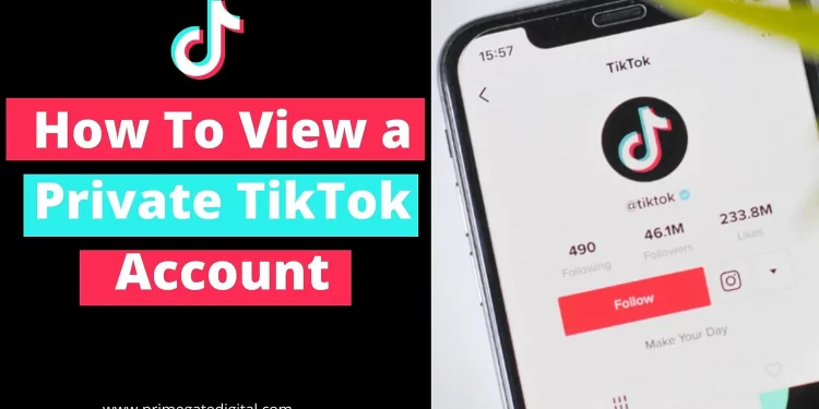 How to See a Private Tiktok Account 2022