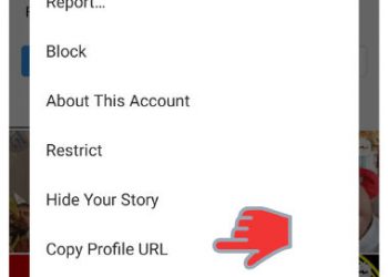How to Send an Instagram Profile Link to a Friend