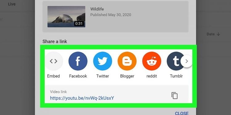 How to Share a YouTube Video