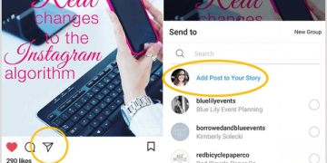 How to Share an Instagram Post to Your Story