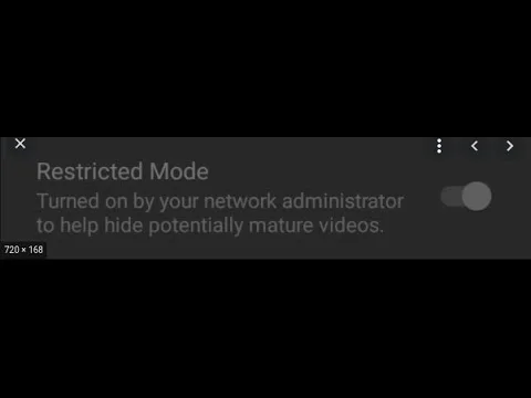 How to Turn Off the Restricted Mode on YouTube Enabled by Network Administrator?