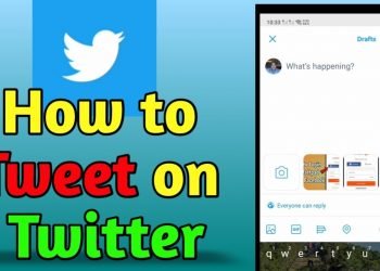 How to Tweet on Twitter App