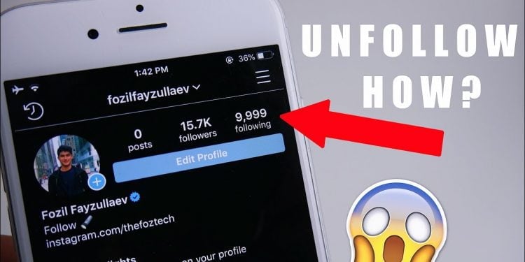 How to Unfollow Everyone on Instagram