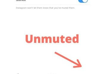 How to Unmute Accounts on Instagram