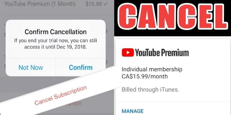 How to Unsubscribe From YouTube Premium