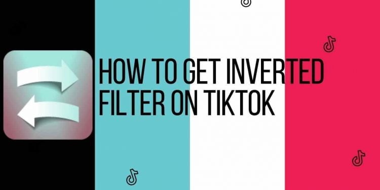 How to Use Inverted Filter on TikTok