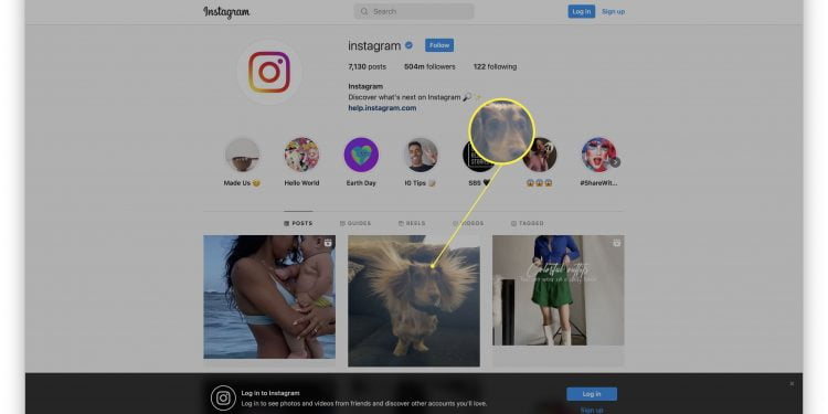 How to View Instagram Without an Account