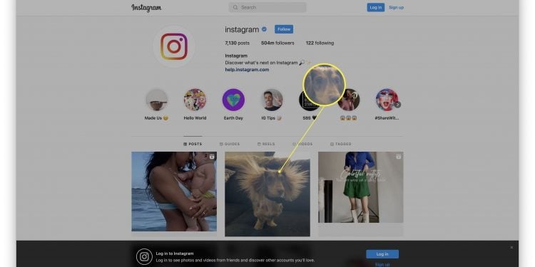 How to View Instagram Without an Account