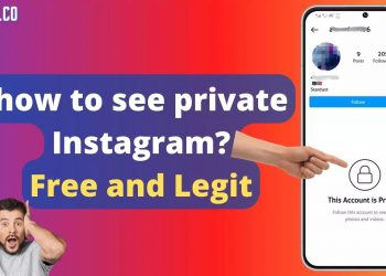 How to View Private Instagram Profiles 2022 Using an App