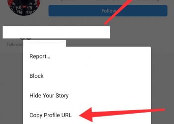 How to View Private Instagram Profiles Without Following No Survey