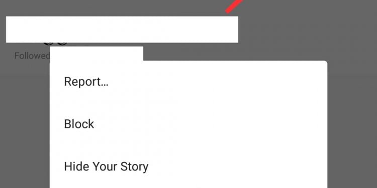 How to View Private Instagram Profiles Without Following No Survey