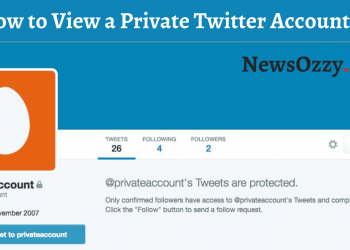 How to View Private Twitter Accounts