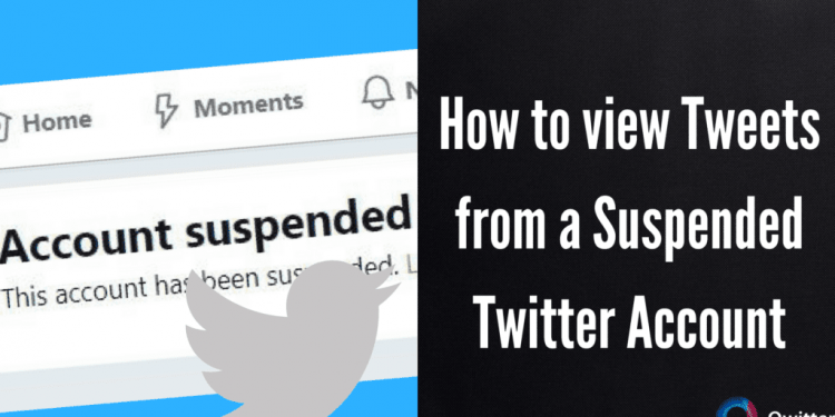 How to View Suspended Twitter Accounts