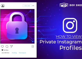 How to View a Private Instagram Profile