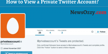 How to View a Private Twitter Account 2022
